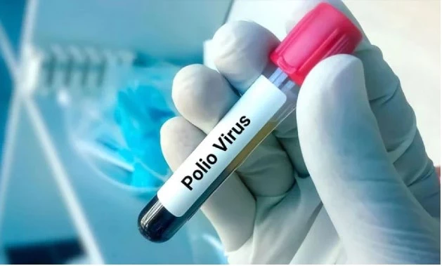 Poliovirus found in environmental sample in Hyderabad