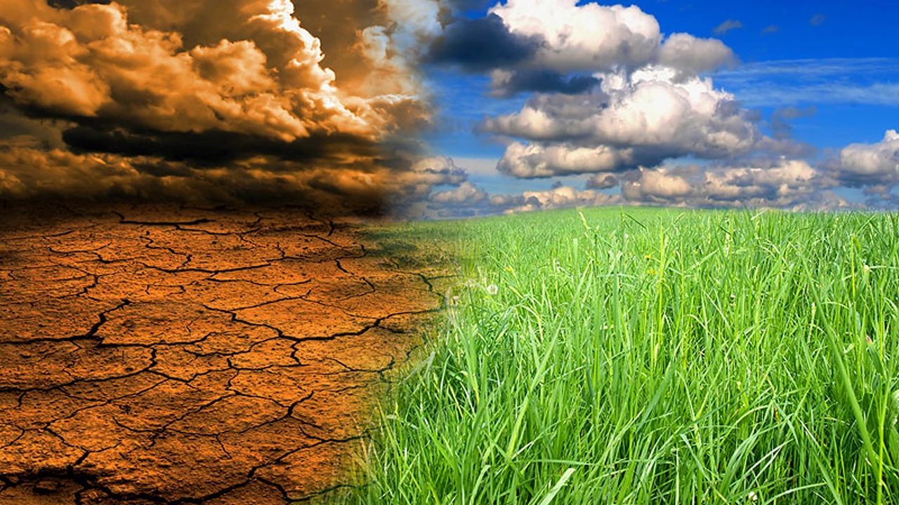 How climate change threatens global agriculture