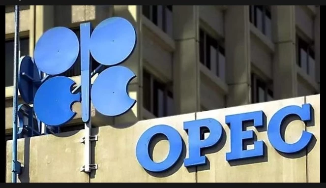 Climate campaigners slam OPEC bid to thwart oil phase-out