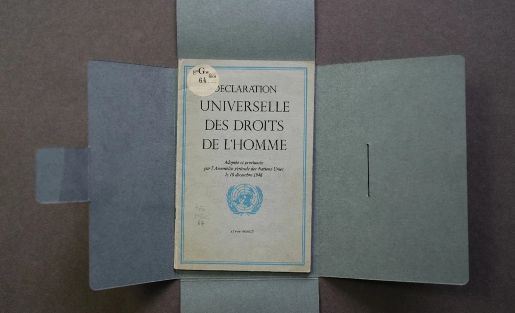 Universal Declaration of Human Rights turns 75