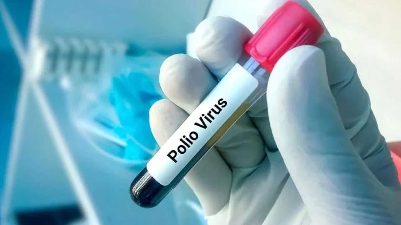 Polio virus found in in five districts