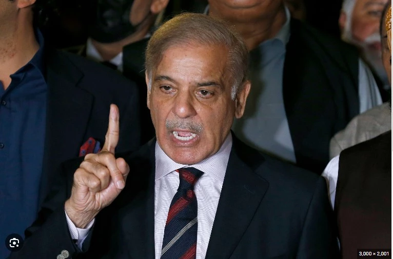 Shehbaz Sharif says PTI to be blamed if elections are delayed