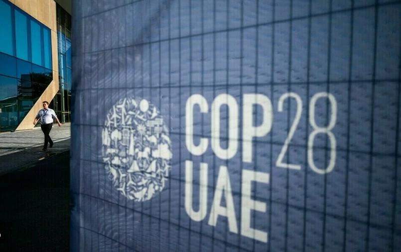 COP28 fails to regulate the Wild West of carbon credits