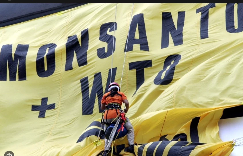 US jury orders Monsanto to pay $857m over chemicals in school