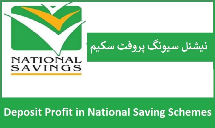 National Savings Schemes returns revised downward