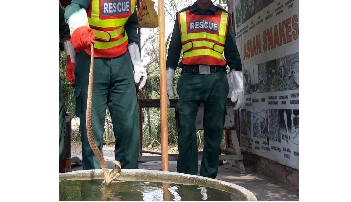 Guard stung by snake in Islamabad’s Diplomatic Enclave