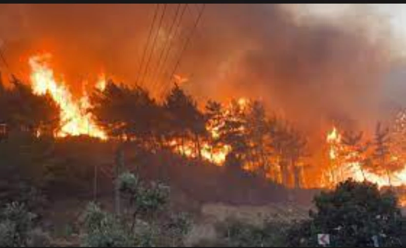 Huge fire sweeps through Murree forest