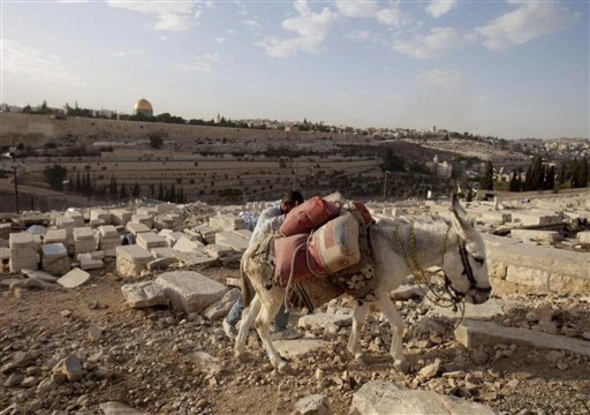 Donkey head used to desecrate Jerusalem Muslim cemetery