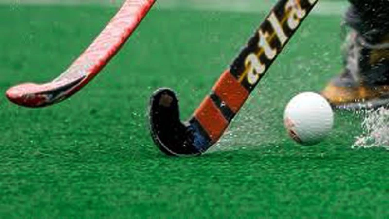 PHF to probe financial irregularities of former officials