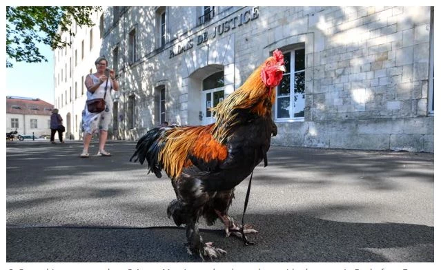 Thief returns French village's golden cockerel after 25 years