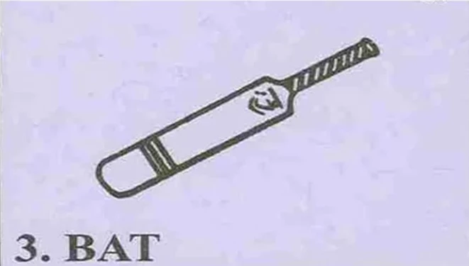 Hum Awam Pakistan Party demands bat symbol for elections