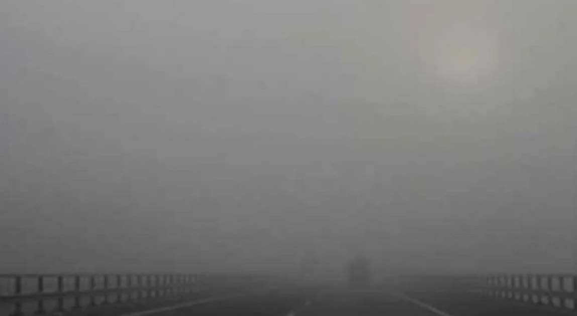 Fog throws air, road traffic out of gear in Punjab parts