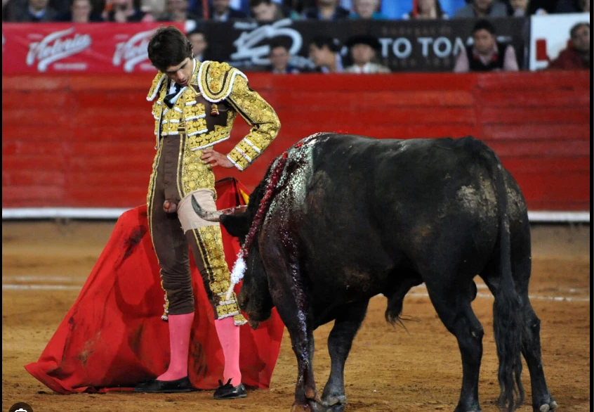 Bullfighting to return to Mexico City after legal battle