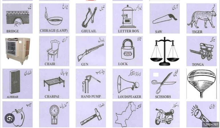 PTI candidates being allotted poll symbols independently by ECP