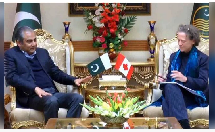 Canadian HC calls on Punjab CM Naqvi