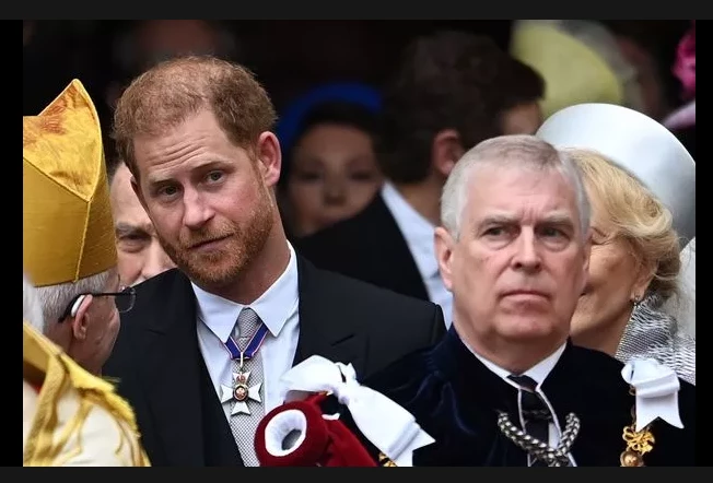 UK princes Harry and Andrew lose king stand-in role