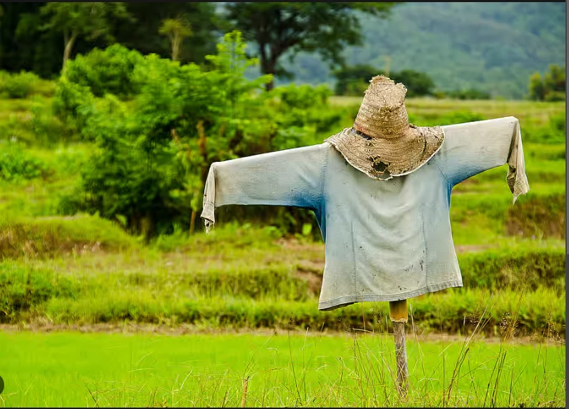 UK fruit and veg farmers to make scarecrow protest for survival