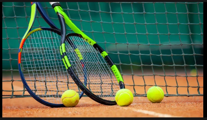 Pakistan issues visas to members of Indian tennis team