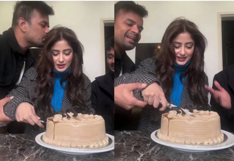 Sajal Aly's birthday celebration with Adnan Ansari receives criticism