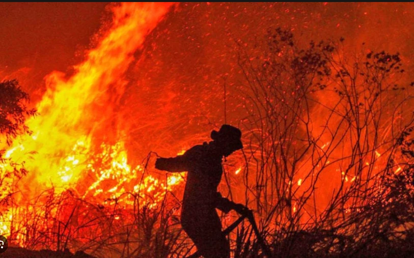 Over 17,000 hectares destroyed in Colombia forest fires