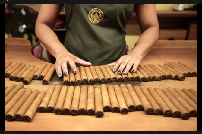 Sweet and 'spicy' Nicaraguan cigars winning over the world