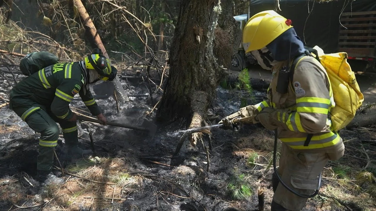 Bogota closes dozens of parks as fires rage in Colombia