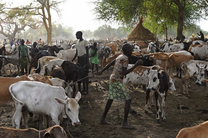 39 killed in clashes between cattle herders in South Sudan: officials