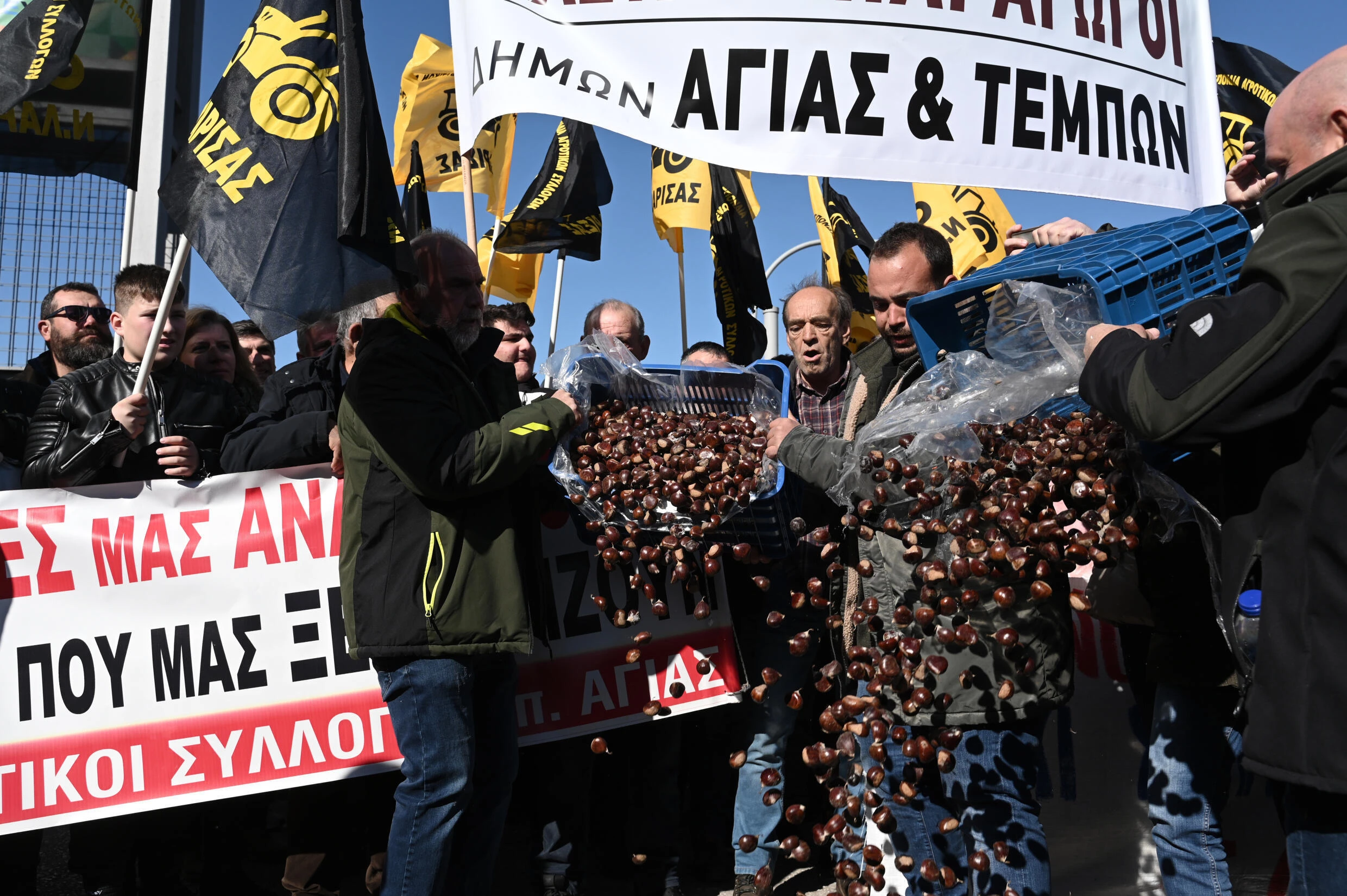 Tractors converge on Rome as farmers protest across Europe