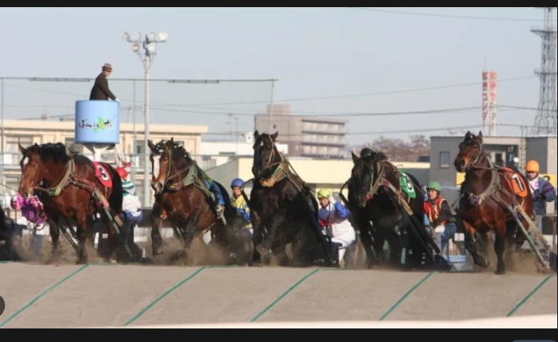 'Suspense' of slowest horse race wins new fans in Japan