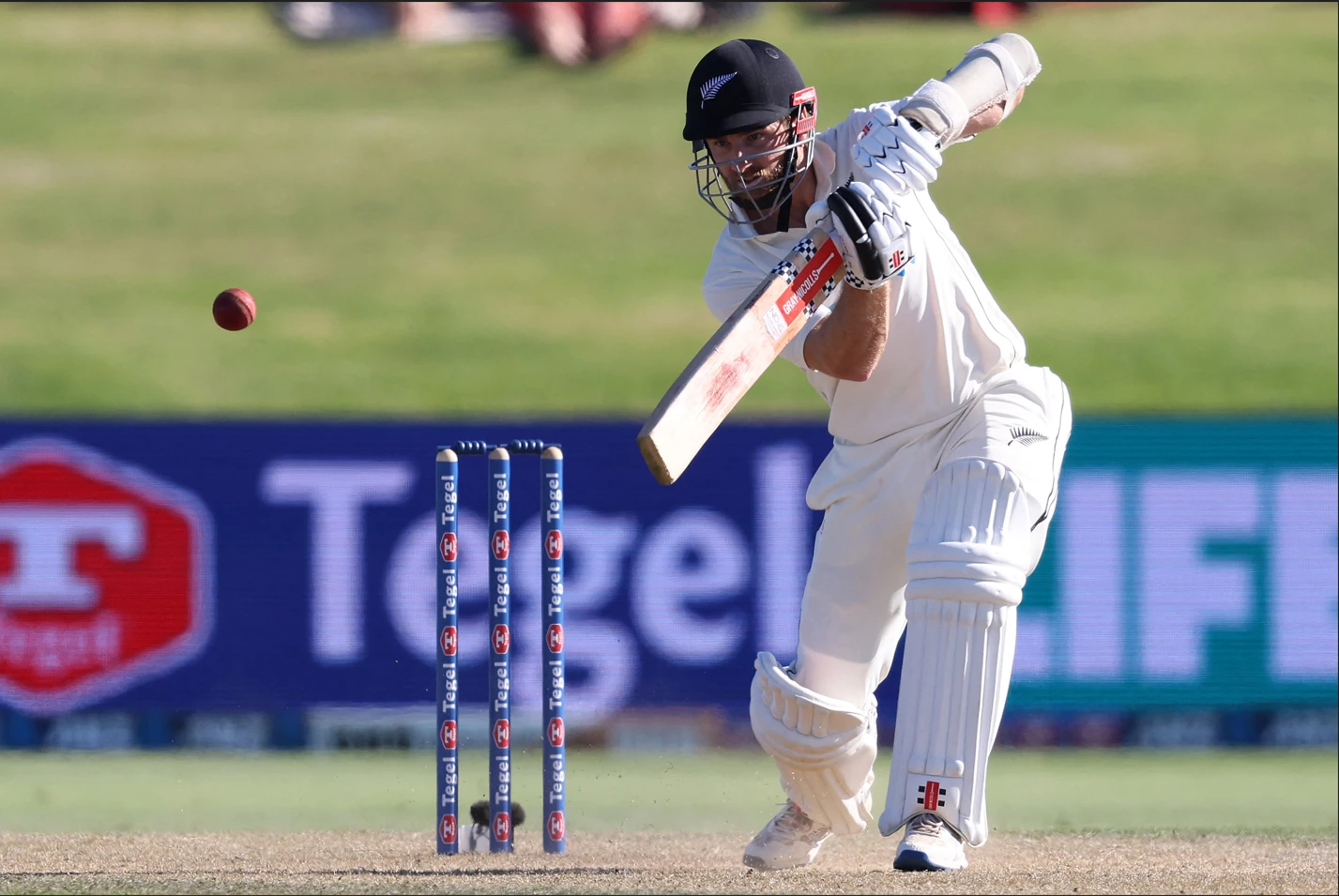 Second century for Williamson as New Zealand extend lead past 500