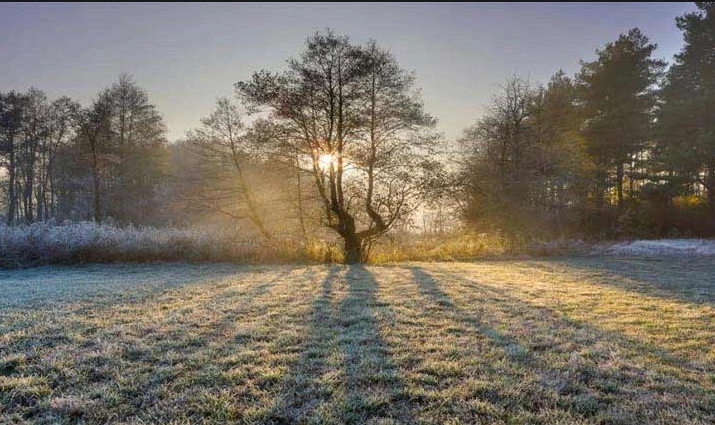 Met Office forecasts cold, dry weather on election day