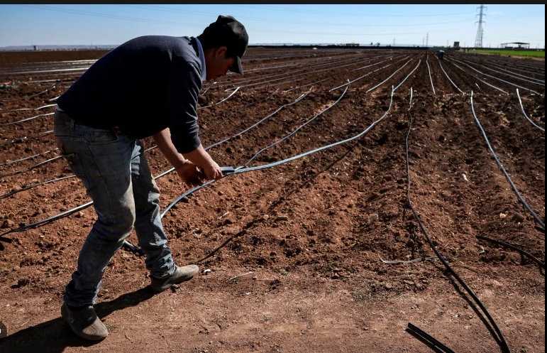 Climate change parches Morocco breadbasket amid policy pitfalls