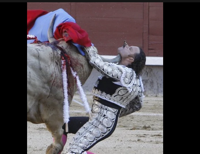 Mexican bullfighter fighting for life after goring