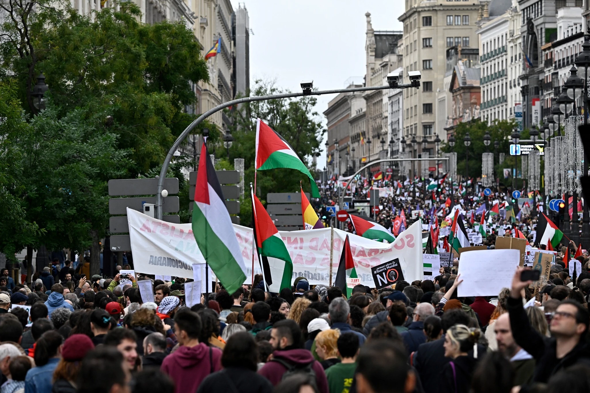 Thousands of pro-Palestinian protesters march in Madrid