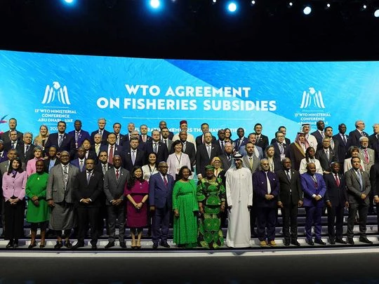 WTO approves services trade rules, overcoming objections