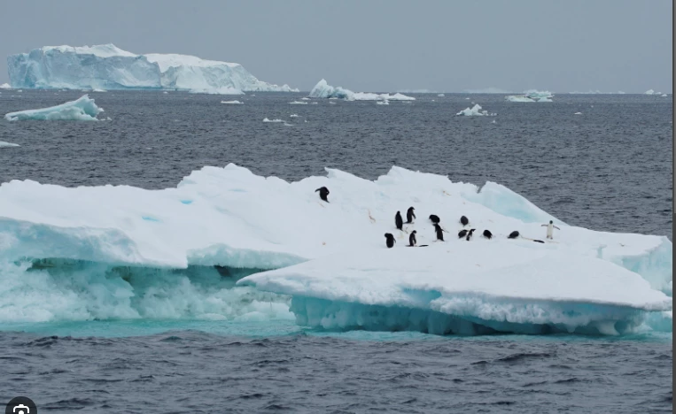 Scientists fret as Antarctic sea ice dwindles