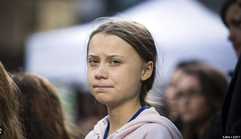 Youths having to grow up 'too quickly' amid climate fears: Thunberg