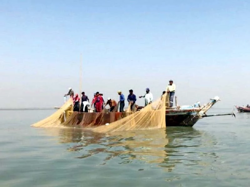 4 more dead bodies of fishermen found, 2 other still missing