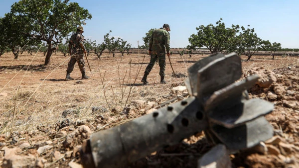 Syria landmine blast kills 16 truffle hunters: monitor