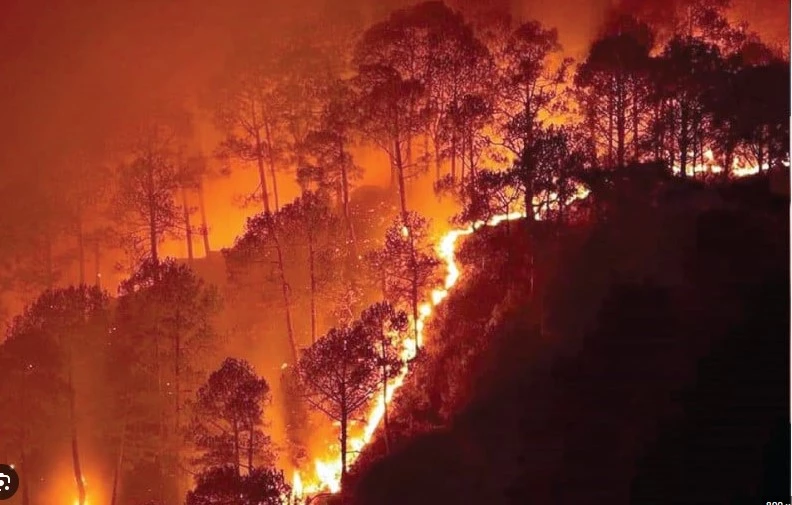 Fire breaks out in Balochistan forests