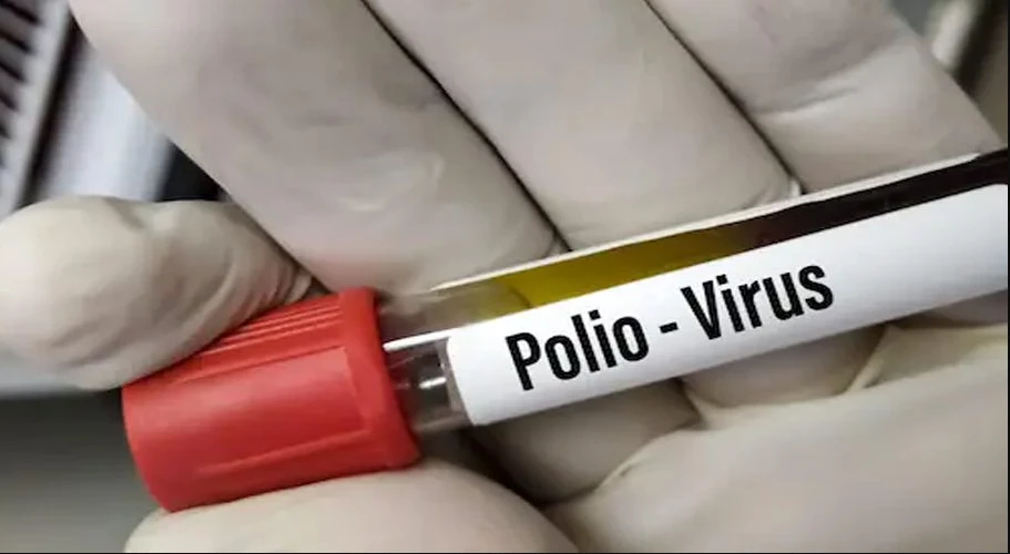 Poliovirus confirmed in environmental samples from two Karachi districts