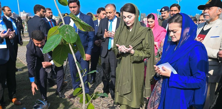 Punjab CM Maryam Nawaz to oversee record-breaking tree planting drive