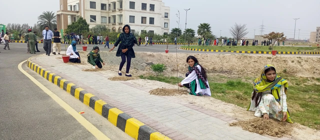 Tree plantation drive at UHS