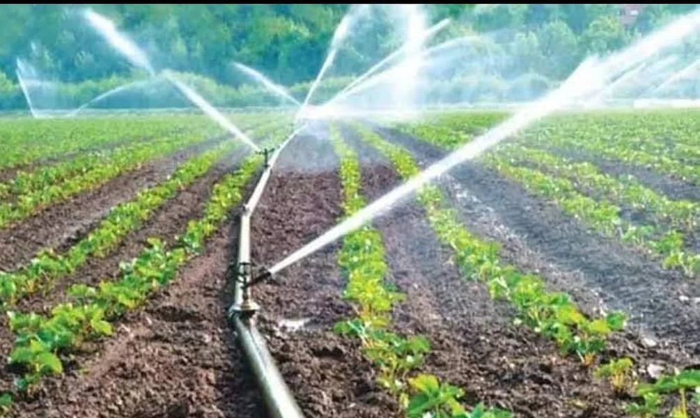 Sprinklers and drip irrigation help Iraqis beat drought