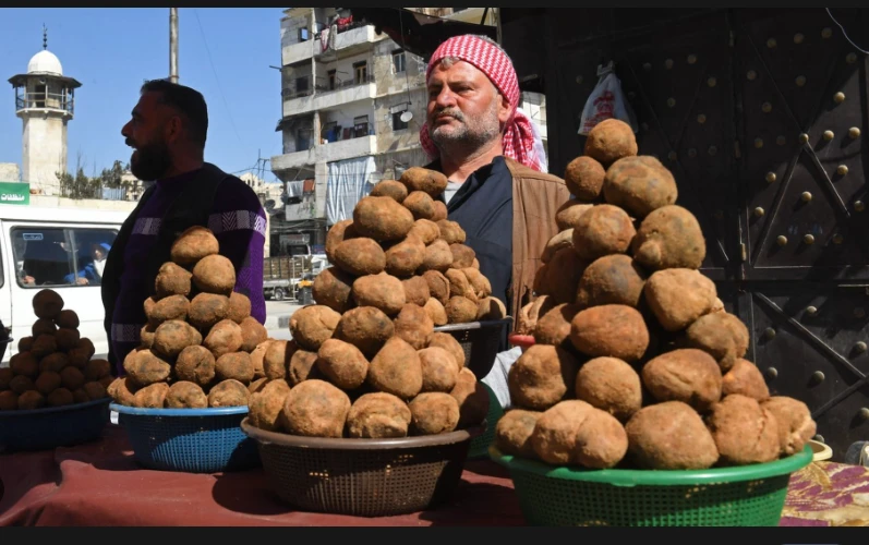 11 killed in suspected IS attack on Syria truffle hunters