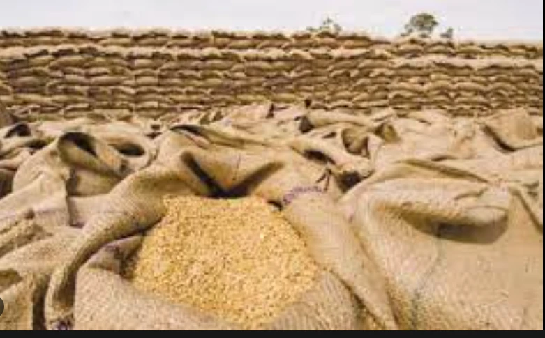 47,000 wheat gunny bags worth Rs800 million stolen from Khairpur godowns