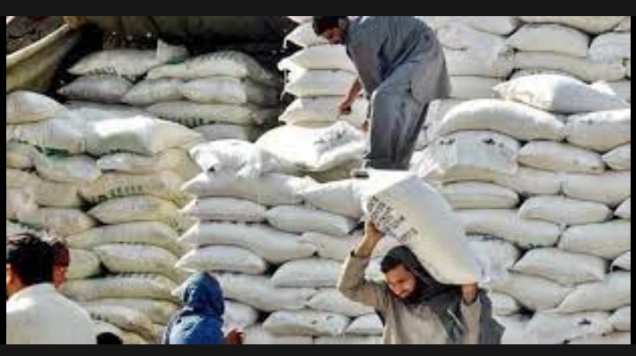 Govt allows export of flour from imported wheat