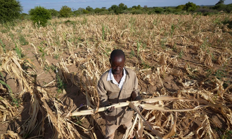 Zimbabwe declares El Nino drought a national disaster