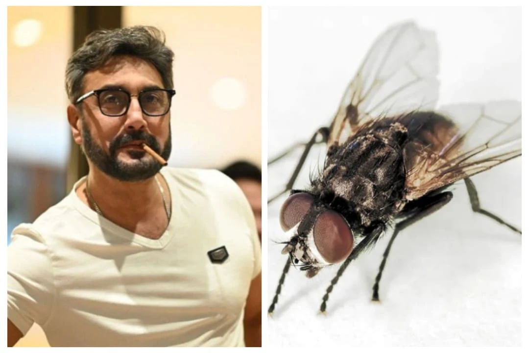 'Woman are like houseflies', Adnan Siddiqui