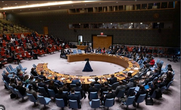 No Security Council 'consensus' on Palestinian UN membership